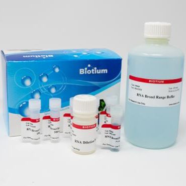 AccuBlue®宽范围RNA定量试剂盒 (200 assays) 31073-T