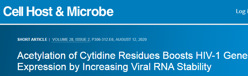 看未来热点ac4C修饰研究思路：胞嘧啶乙酰化修饰影响HIV-1病毒RNA稳定性