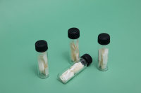 大肠杆菌菌片(ATCC8099)(金属载体)