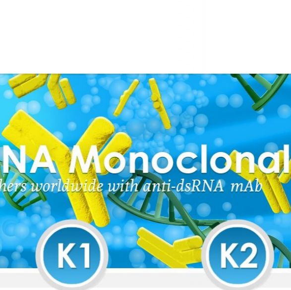 Scicons 双链RNA 抗体 antibody K2 现货