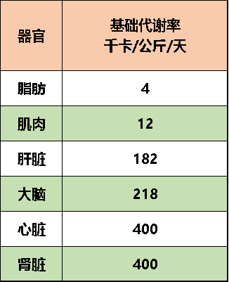 所以同樣重要的肌肉和脂肪,脂肪的體積是肌肉的三倍,比如下圖