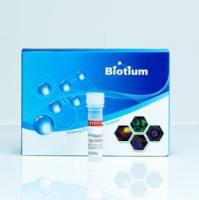 Annexin V (His Tag)  29088-100ug 29088-100ug