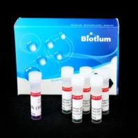 Fast Plus EvaGreen® qPCR Master Mix (trial size, 100 rxn) 31020-T