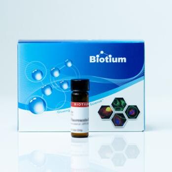 Dilinoleyl DiI (Fast DiI, or 1,1'-dilinoleyl-3,3,3',3'-tetramethylindocarbocyanine perchlorate 60034