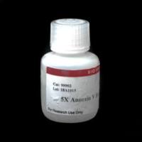 5X Annexin V Binding Buffer 99902