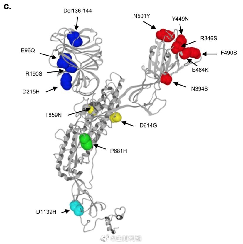 法国新发现「IHU」突变株引起 WHO 关注