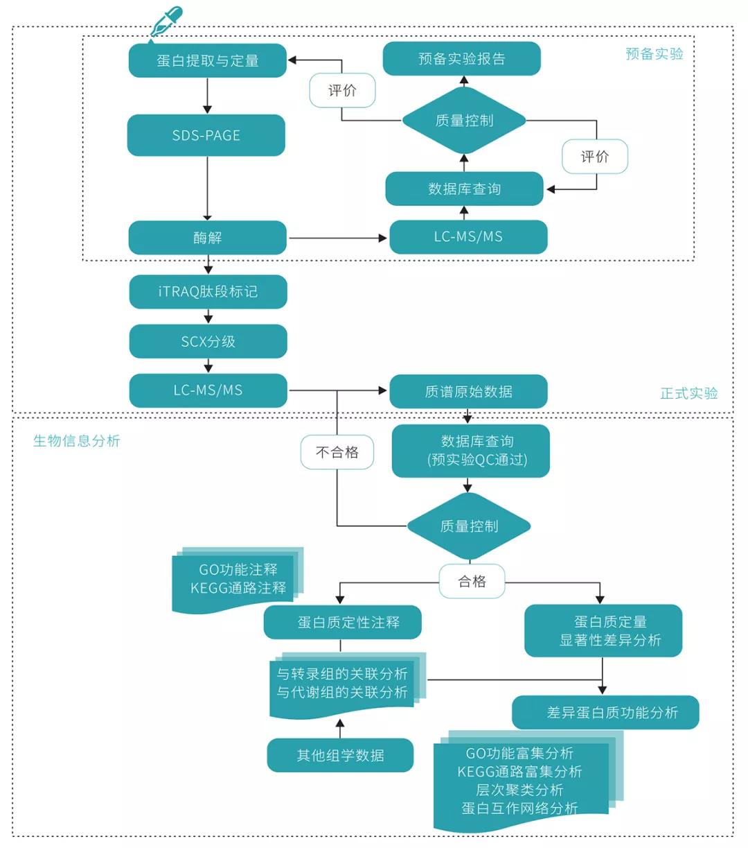 技术介绍 | 蛋白质组学