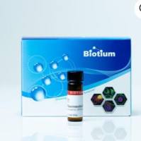 BCIP, TOLUIDINE (5-BROMO-4-CHLORO-3-INDO 10002-2