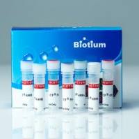 链霉亲和素, CF680R conjugate 29072