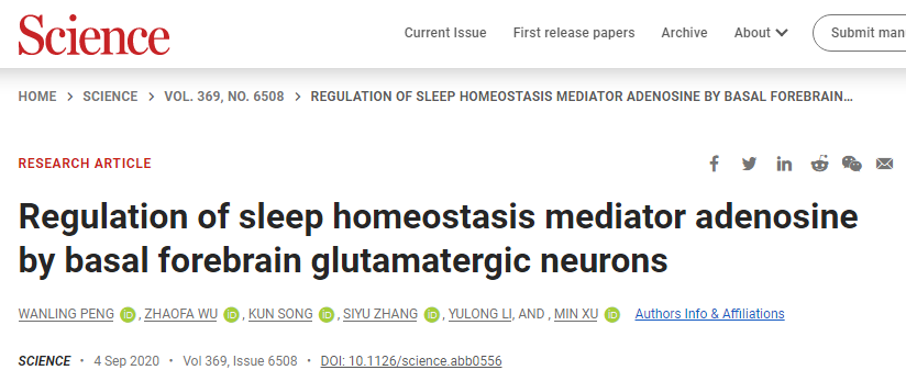 【内含新品】《Science》李毓龙/徐敏合作发现基底前脑谷氨酸能神经元调控睡眠稳态因子腺苷