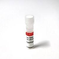 LysoView™ 650, 1000X IN DMSO Trial Size 70059-T