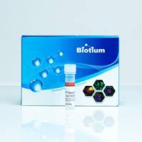 BIOTIN-16-DUTP, 冻干粉 (BIOT 40022-1