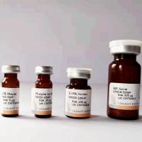 重组蛋白FGF-21, Mouse