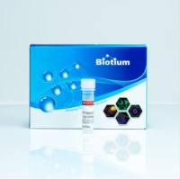 BIOTIN-11-DUTP, 冻干粉 (BIOT 40029-1