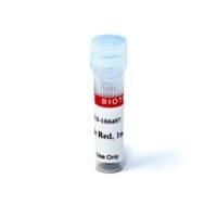 Thiazole Red, 1mM in DMSO 40087