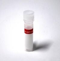 Cyanine 555-dUTP, 冻干粉 40064