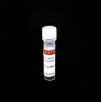 TO iodide (515/531), 1 mM in DMSO 40088