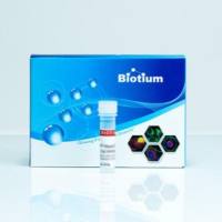 Oxazole Yellow, 1 mM in DMSO 40089