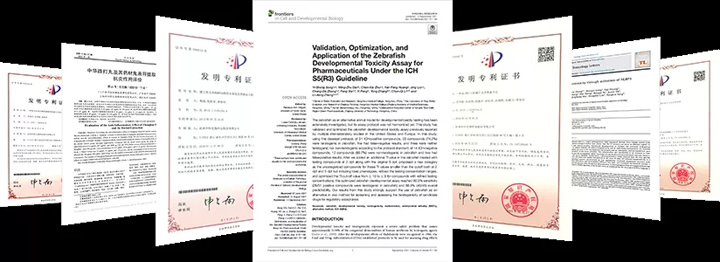 新闻图片6
