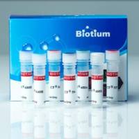 CF® 405M dye-dUTP 40100