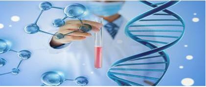 分享科学家利用多能干细胞揭示心脏紊乱的机制