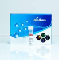 Oxazole Blue, 1 mM in DMSO 40091