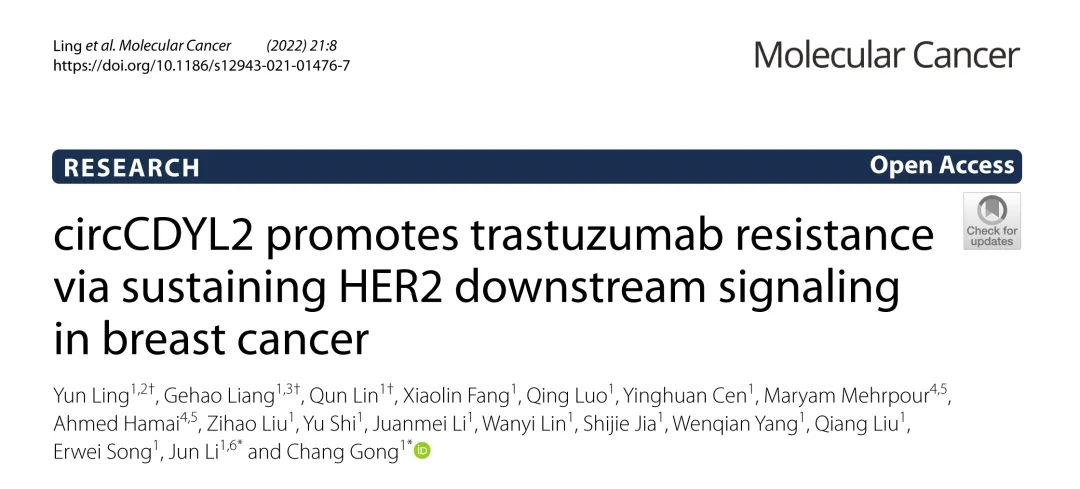 Mol Cancer丨环状RNA测序助力发现circCDYL2促进乳腺癌曲妥珠单抗耐药的机制