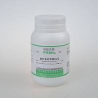 抗生素培养基36号