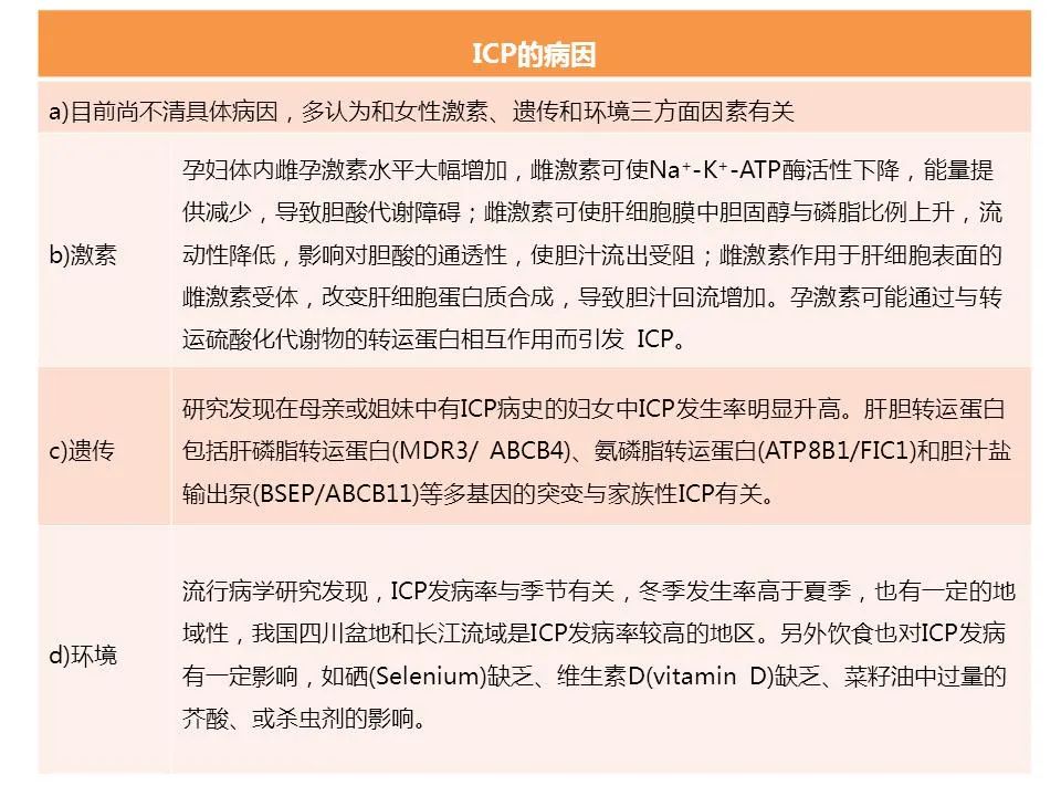 传说中的「带壳宝宝」！出生自带"金钟罩"！