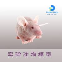 皮肤衰老模型_小鼠疾病动物模型