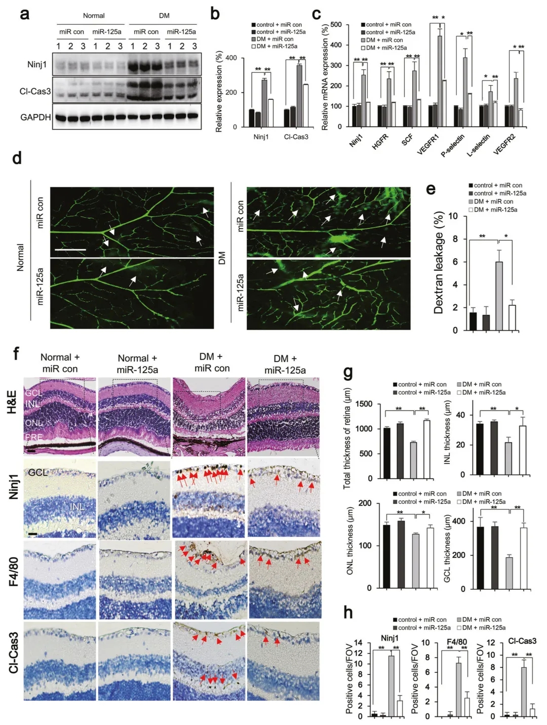 miRNA新研究进展盘点（20220113）