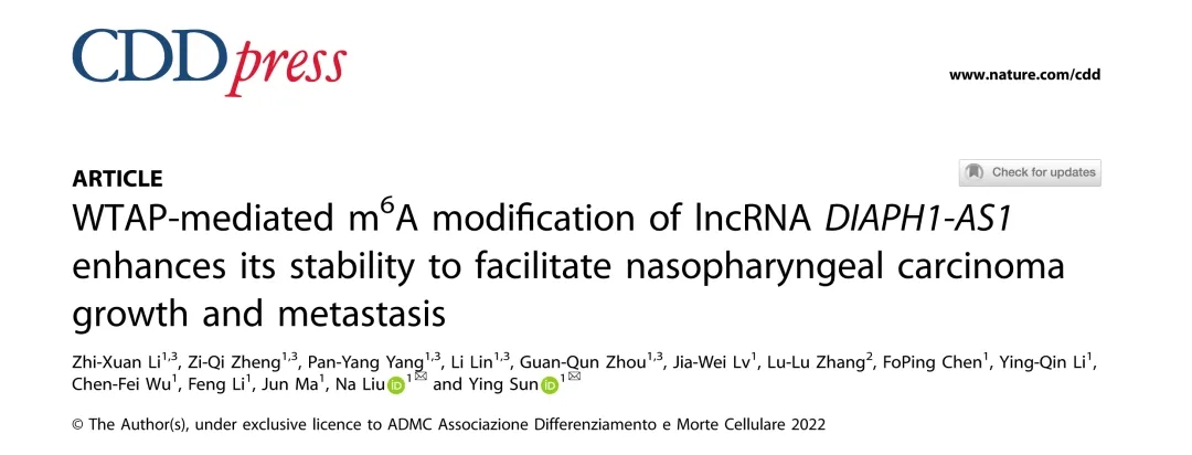 Nature子刊丨WTAP介导的lncRNA DIAPH1-AS1 m6A甲基化对于鼻咽癌的生长和转移至关重要