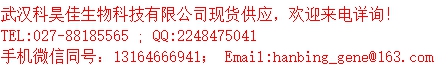 产品细节图片1