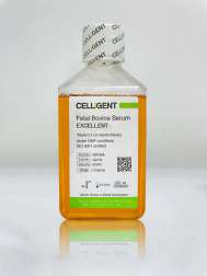 CELLiGENT Fetal Bovine Serum Excellent/優級胎牛血清 CG1126A