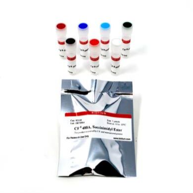 CF440 succinimidyl ester 92123