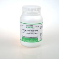 大肠杆菌/大肠菌群显色培养基 