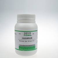 无盐麦康凯琼脂