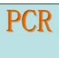 Realtime PCR 检测实验