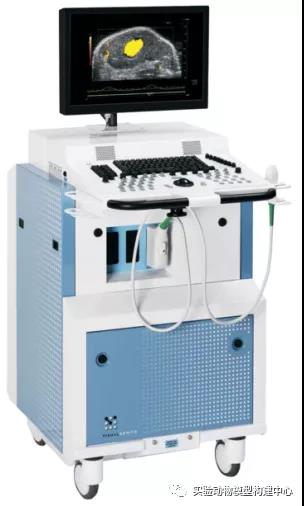 Vevo® 2100 超声成像系统