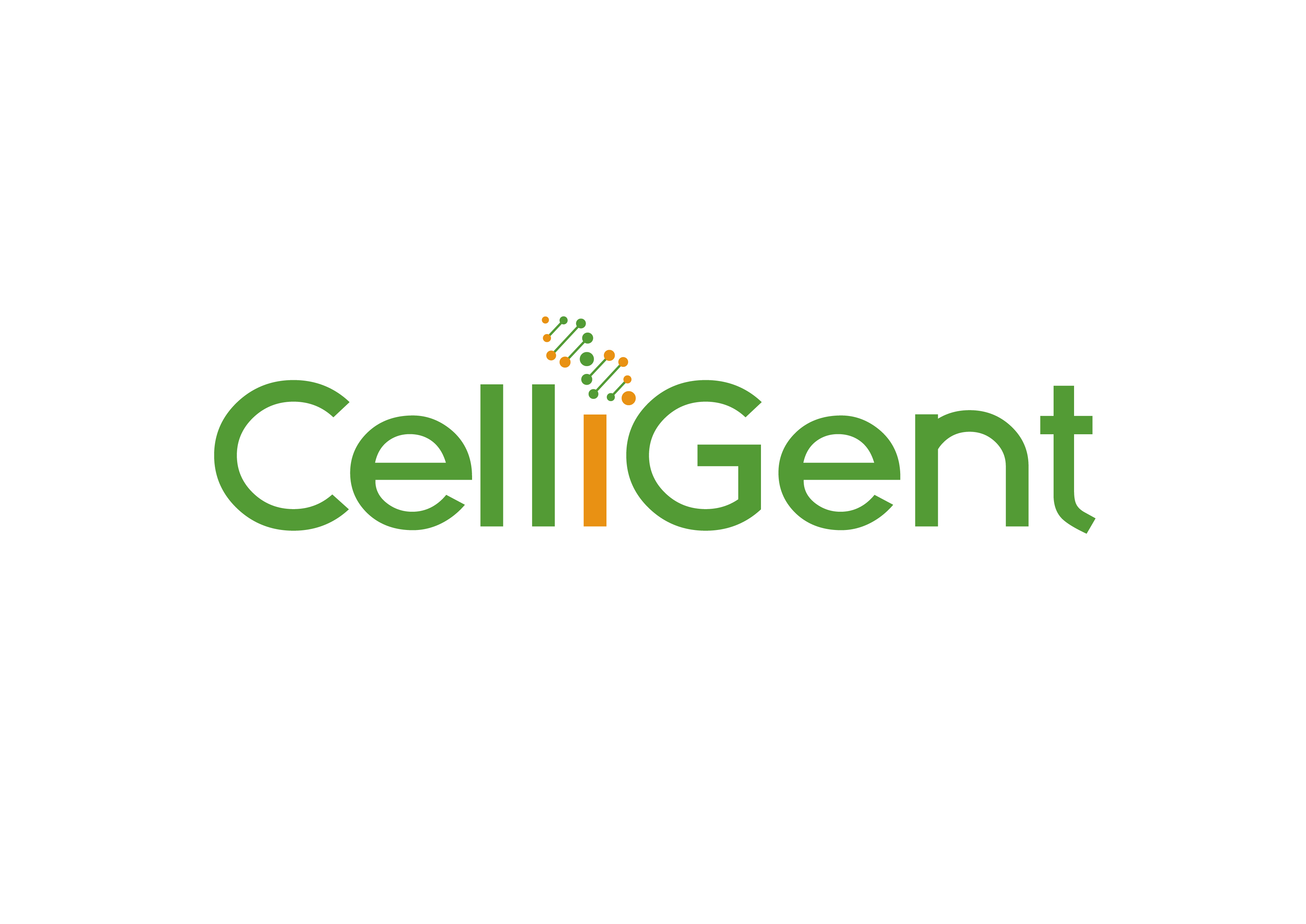 CELLiGENT 牛血清白蛋白 CG1310