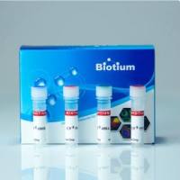 CF555DI hydrazide 92164