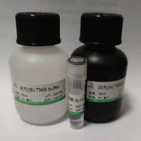 N-环己基马来酰亚胺