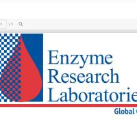 Enzyme Research  Human Prekallikrein | HPK 1302 现货