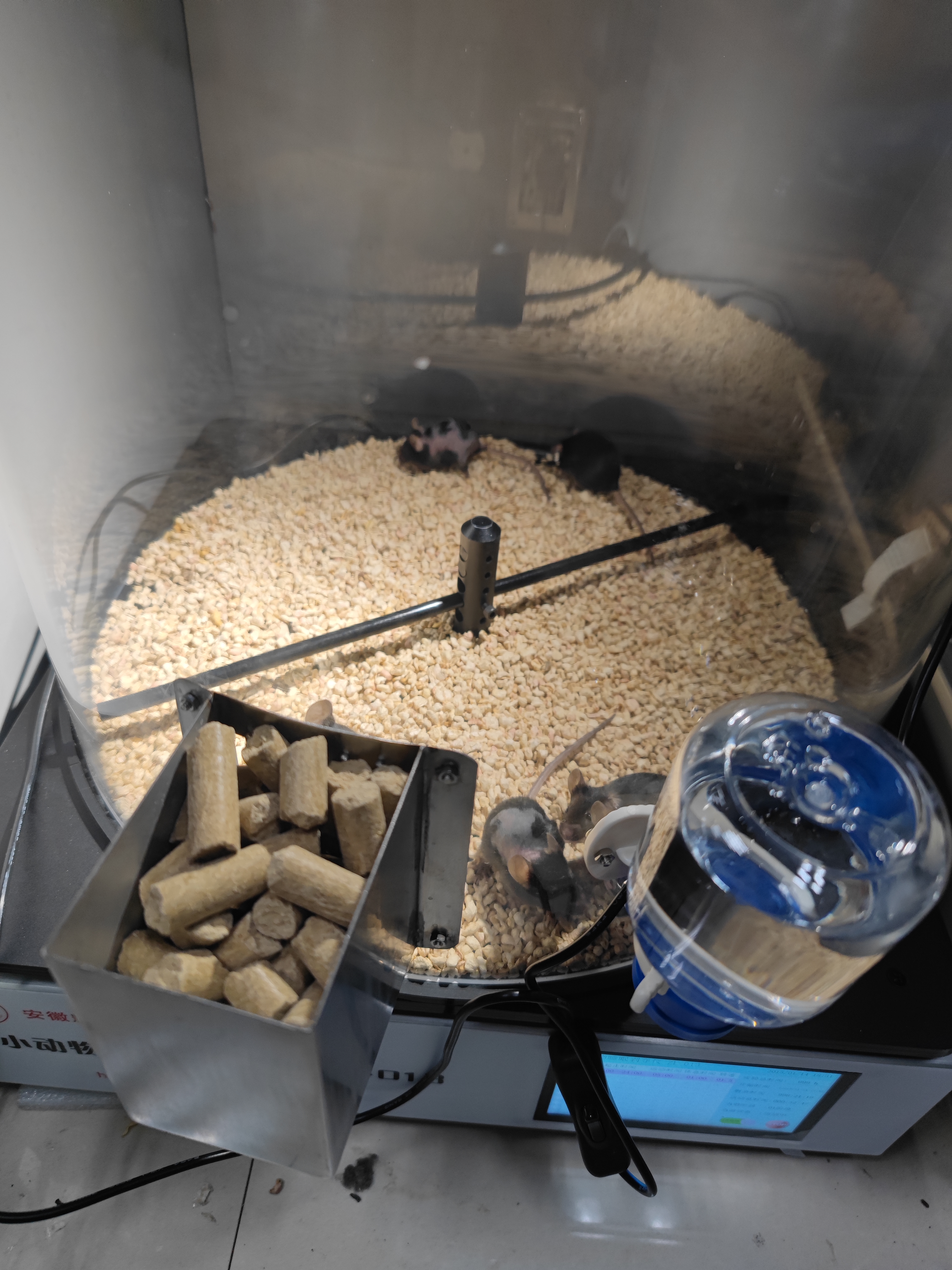 北京大学--ZL-13大小鼠睡眠剥夺仪交货了！！！