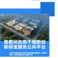 细胞生物学研究服务