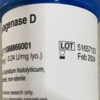 现货Roche货号11088866001胶原酶D上海睿安生物13611631389