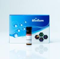 BIOTIN-4-FLUORESCEIN 90062