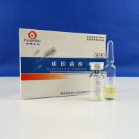 铜绿假单胞菌CMCC10104