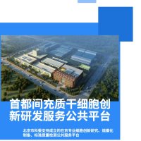 分子生物学研究服务