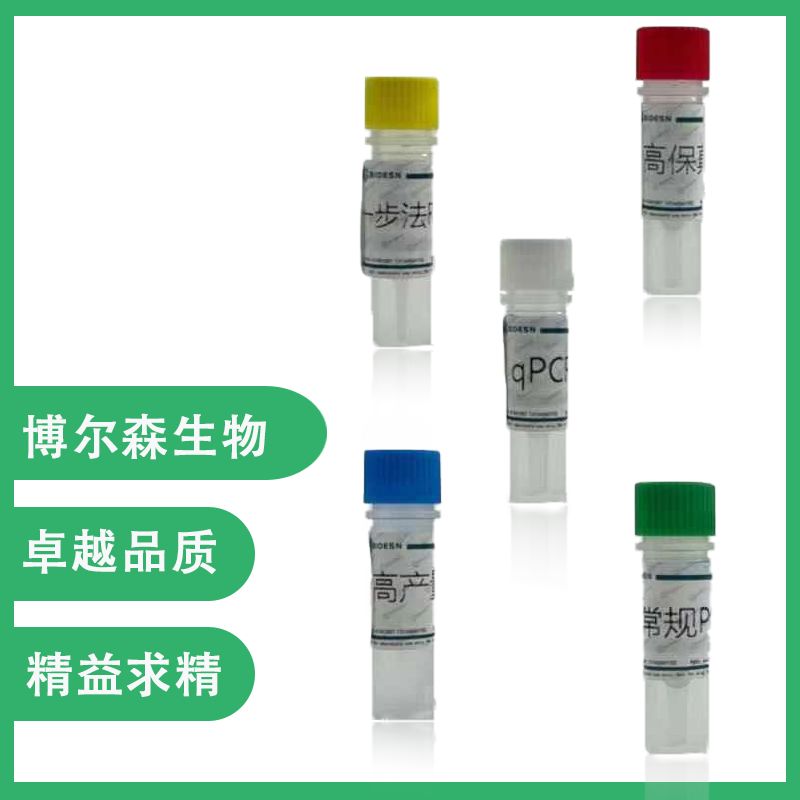 铜绿假单胞菌核酸检测试剂盒（PCR-荧光探针法）